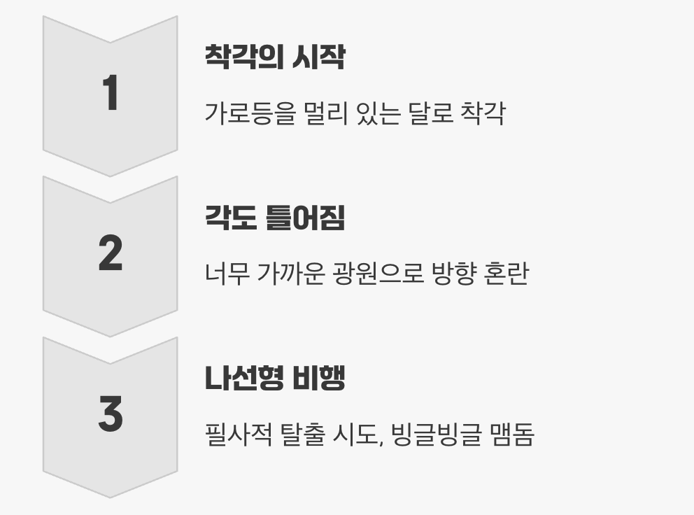 길 잃은 비행, 비극의 시작