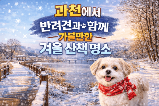 과천 반려견 겨울 나들이 명소, 강아지와 함께 걷기 좋은 산책 코스