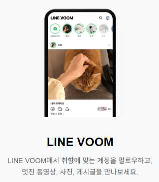 라인페이