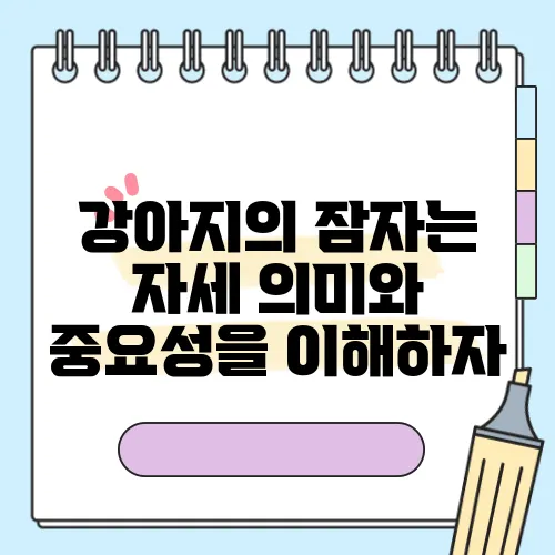 강아지의 잠자는 자세 의미와 중요성을 이해하자
