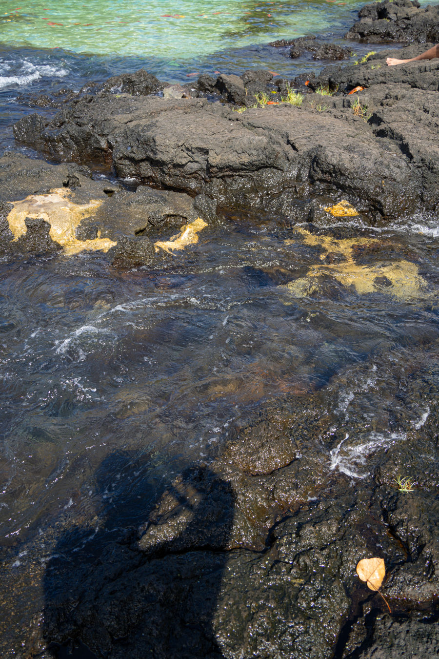 칼스미스 비치 공원 바다 수영