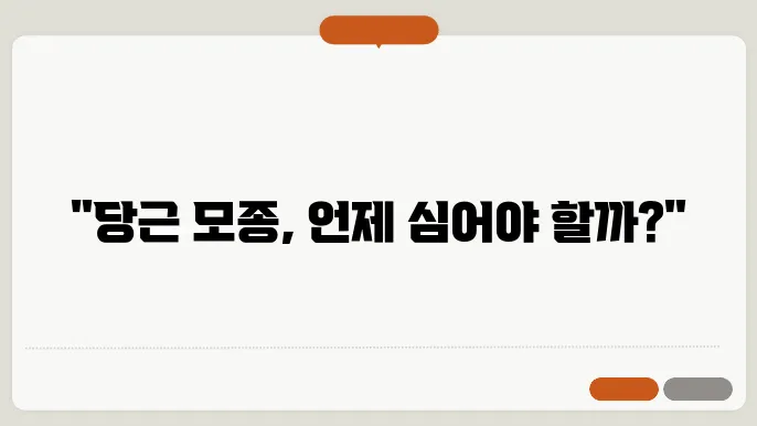 당근 파종 시기