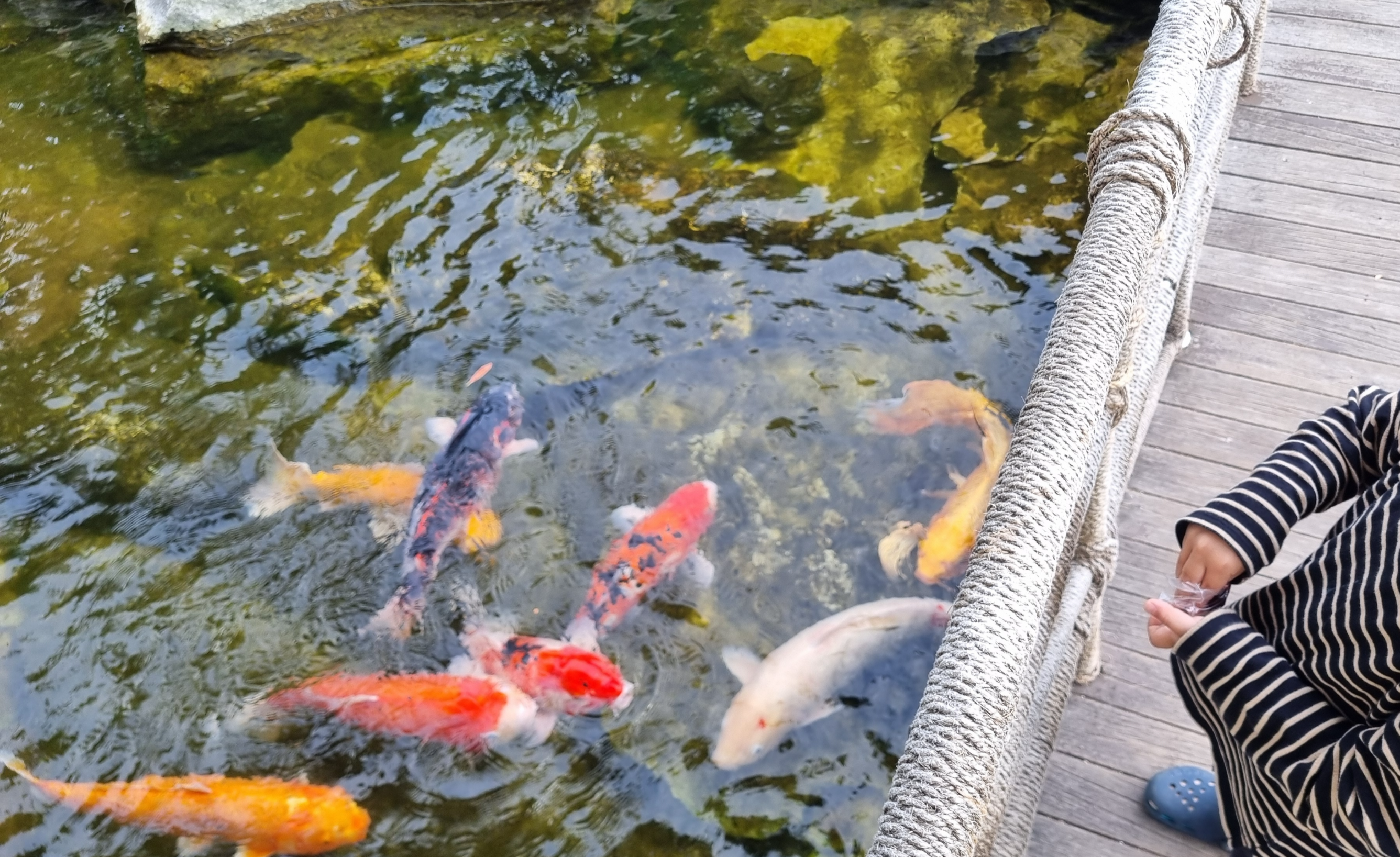 제주 신라호텔