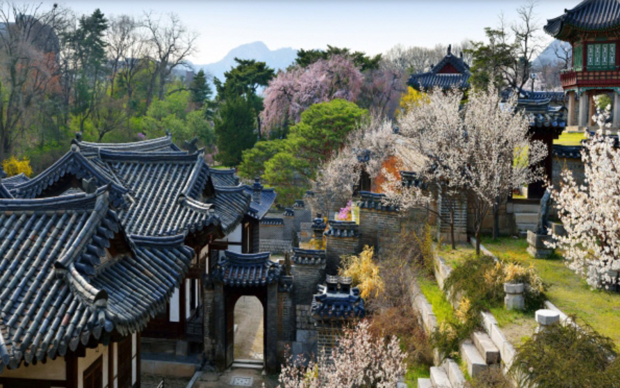 창덕궁 당일치기 코스 추천 (숨은 명소부터 맛집까지)