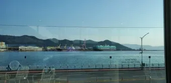 마산 해안도로 5월의 꽃 다정큼나무 산딸나무 해당화_18