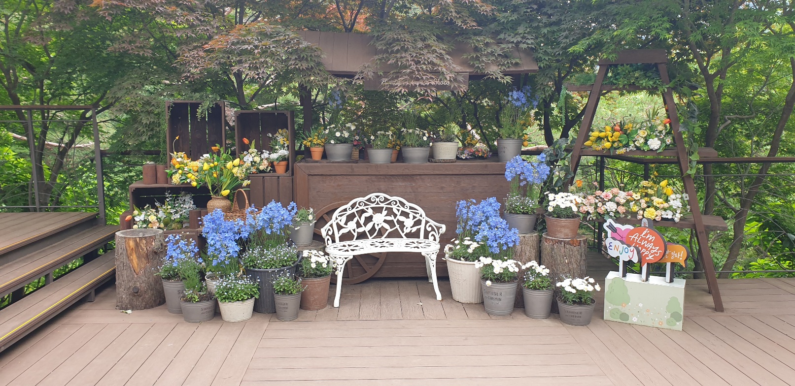 화담숲 단풍 절정시기 예매 꿀팁