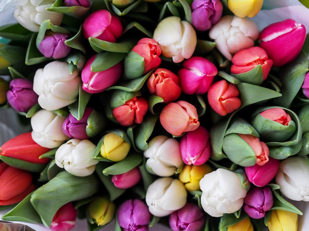 Spring