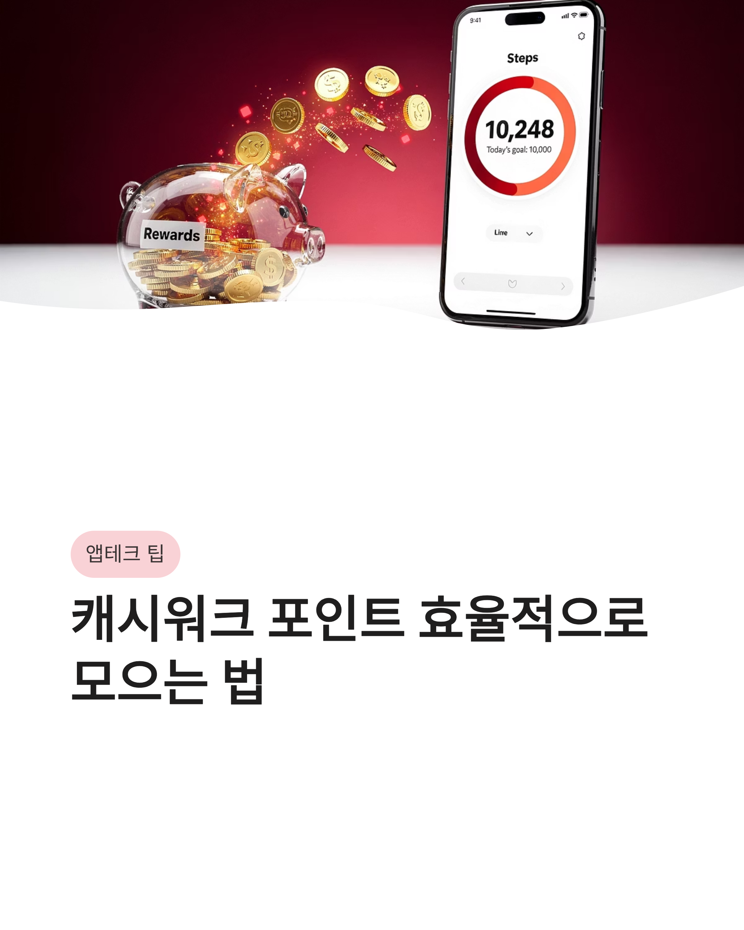 🎃 4월 10일 캐시워크 퀴즈정답