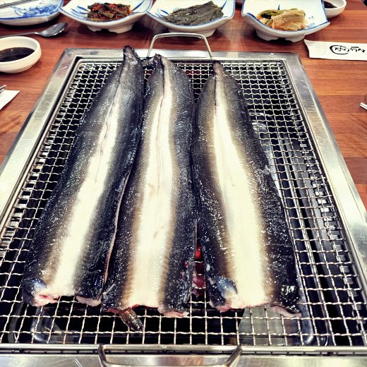 장어 1&#44;5키로