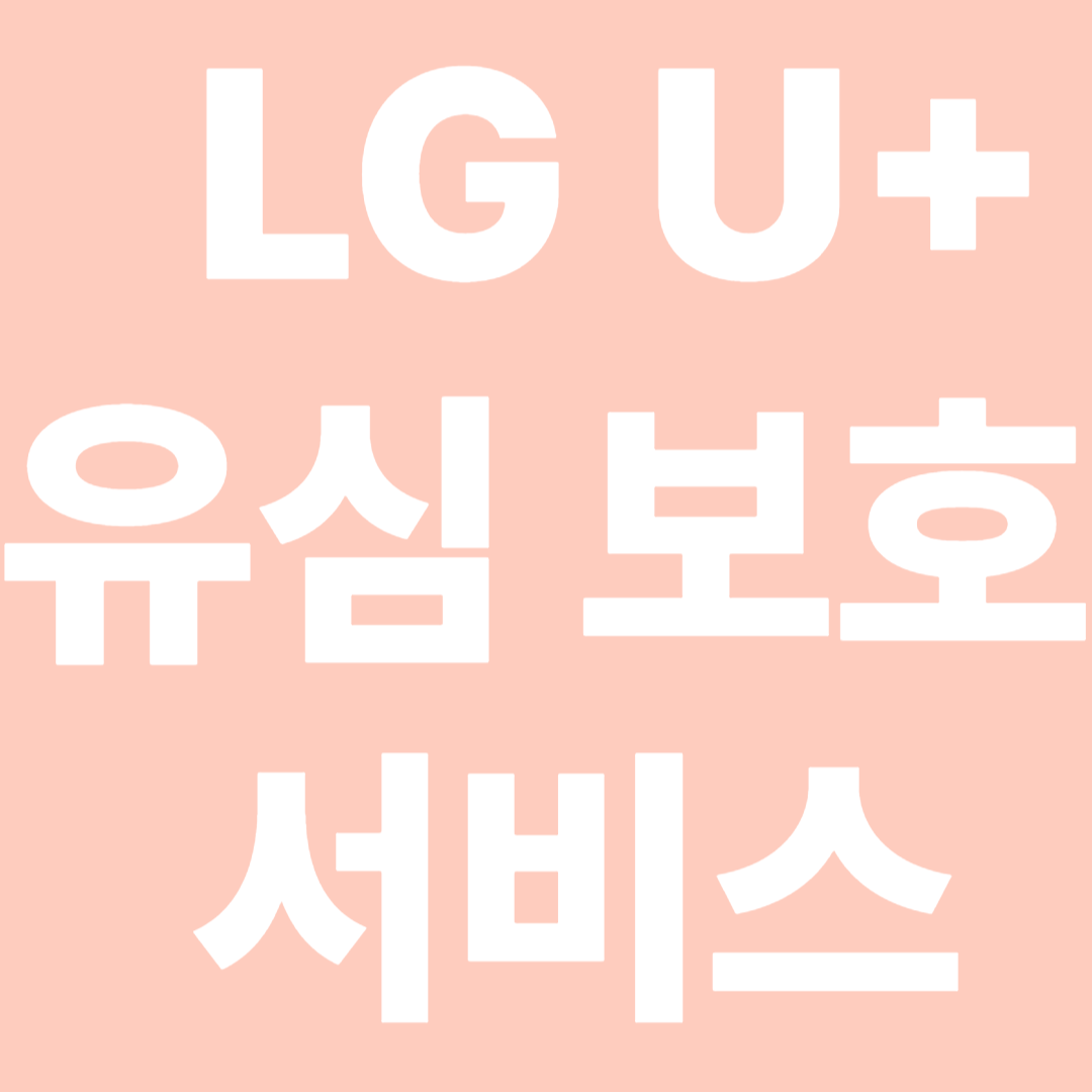 LG U플러스 유심보호 서비스