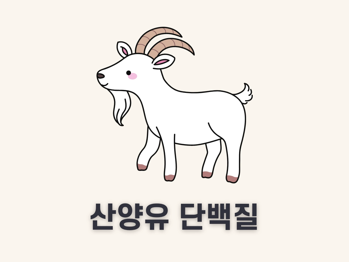 산양유 단백질