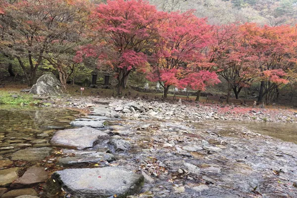 강천산1