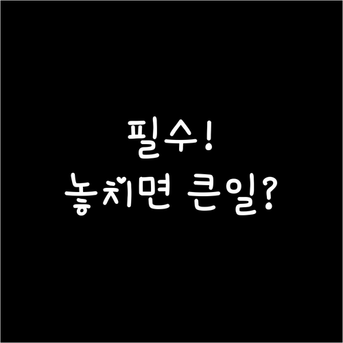 세입자 건물주 필수 임대주택 화재보험..