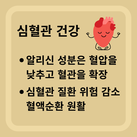 심혈관 건강 촉진
