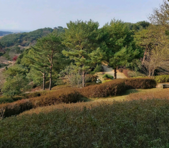 봄철드라이브