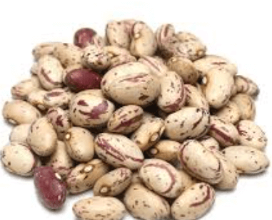 호랑이콩 순지르기