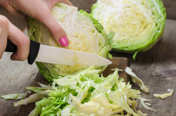 위 건강을 지키는 음식관: 소화가 편안한 식습관의 시작