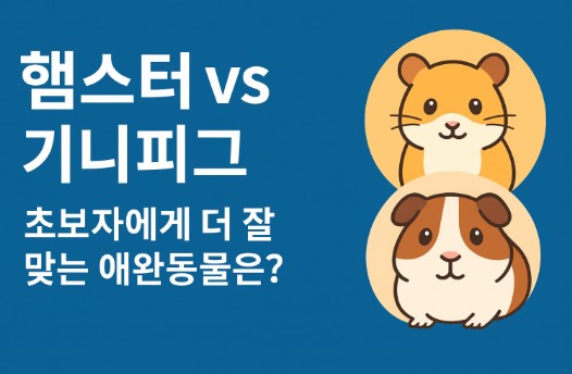 햄스터 vs 기니피그, 초보자에게 더 잘 맞는 애완동물은?