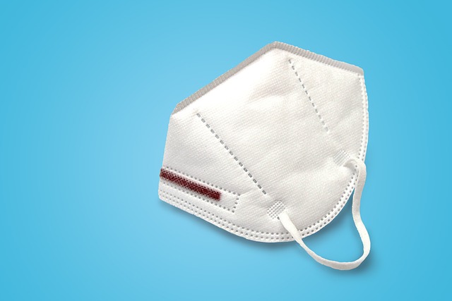 눈에 날파리 현상 7