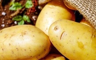 감자 꿈해몽 13가지&nbsp;