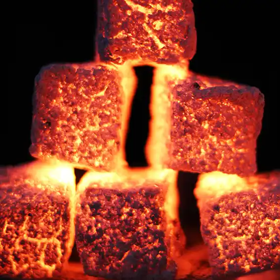 연탄지원(연탄쿠폰)