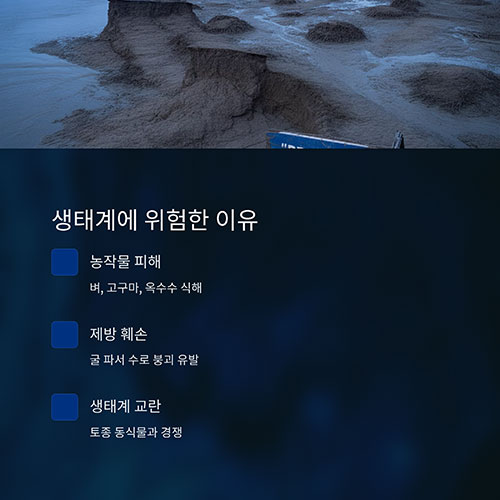 왜 생태계에 위험한가?