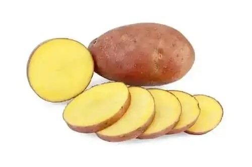 고구마를 먹으면 왜 방귀가 잘 나오나요?