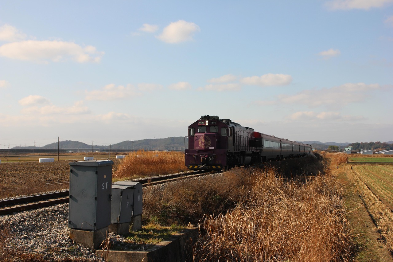 무궁화호 노선&amp;#44; 가격&amp;#44; 좌석추천&amp;#44; 콘센트 위치