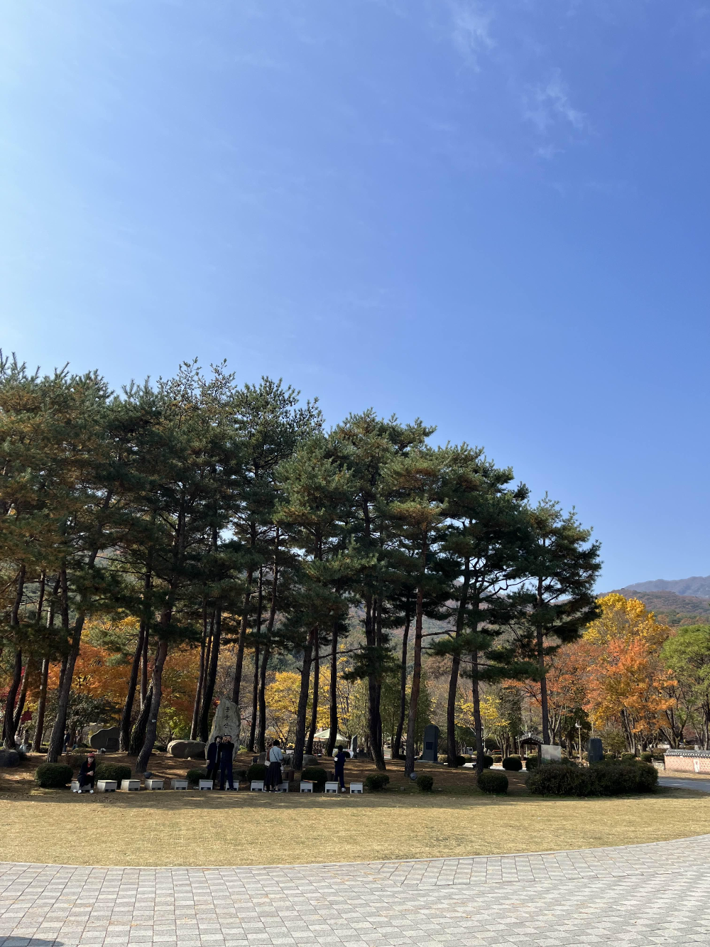 단풍명소 용문사