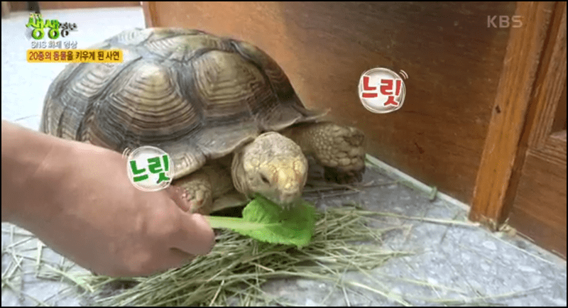 생생정보 수달동물원 안내