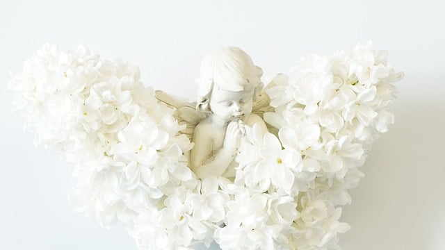 국민연금 수령 전 사망