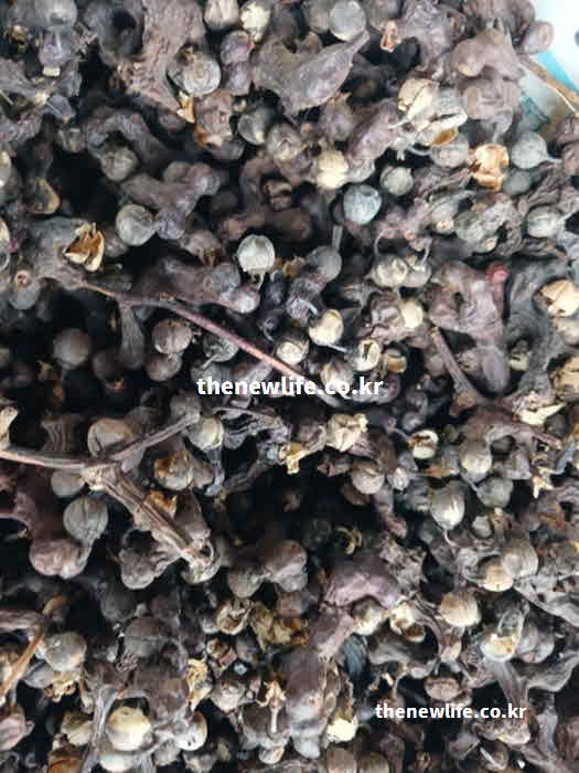 간 좋은 음식 차 헛개나무차