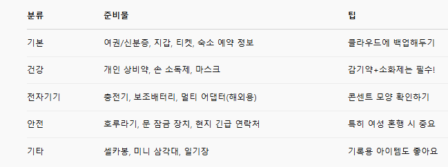 혼자 여행 준비물