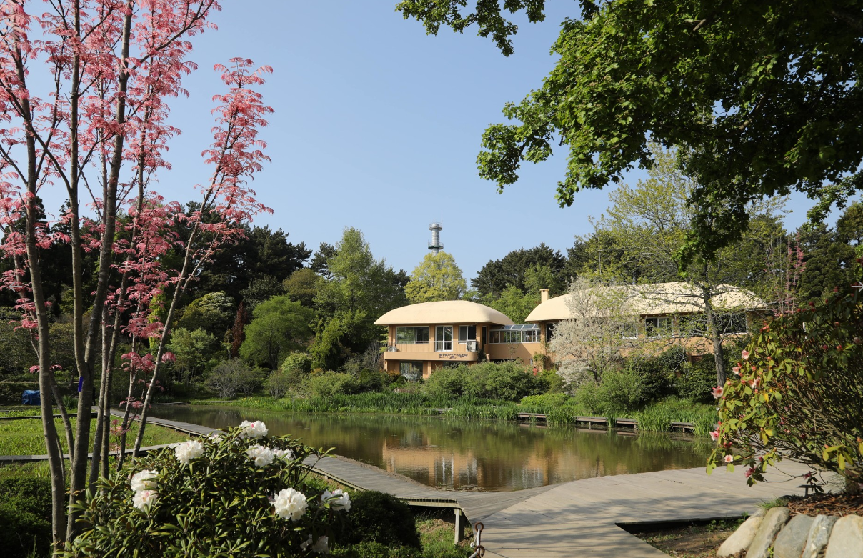 천리포수목원 가을