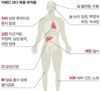 카페인 부작용 중독 증상 두통 원인 정리 정보_6