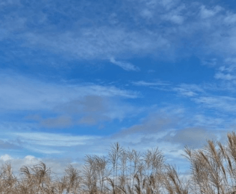 제주도 비행기표 저럼하게 구입하기