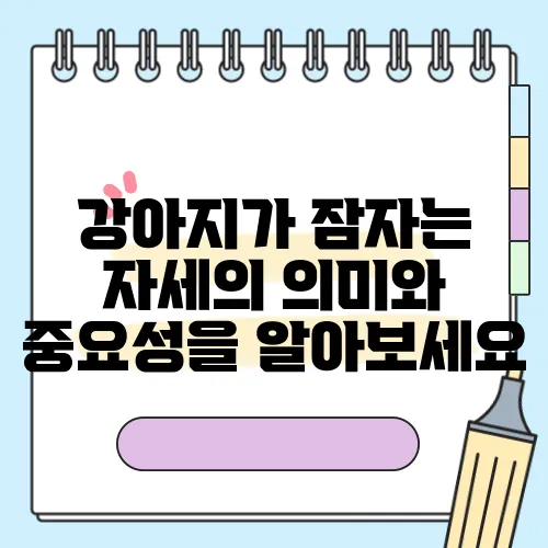 강아지가 잠자는 자세의 의미와 중요성을 알아보세요