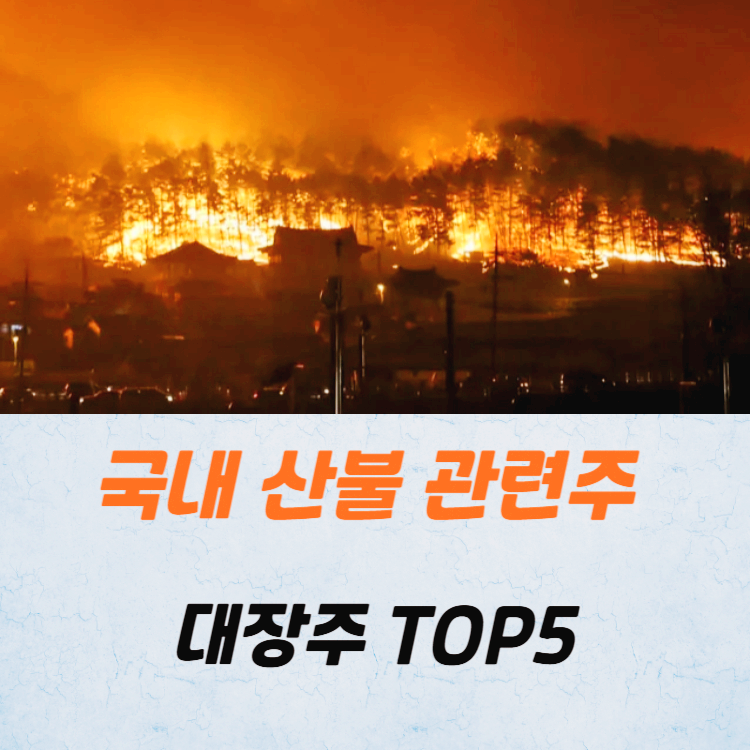 국내 산불 관련주 대장주 수혜주 TOP5
