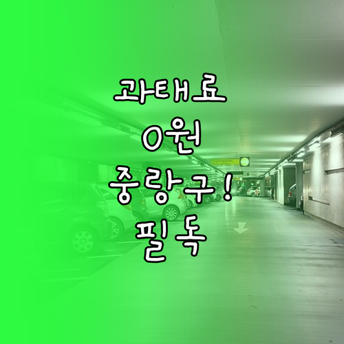 중랑구 주정차 단속 알림 문자 서비스..