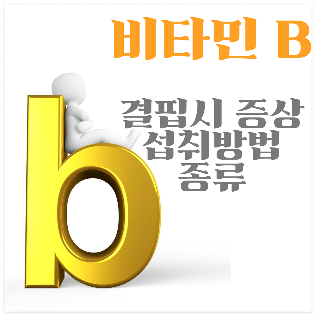 비타민B정보포스터