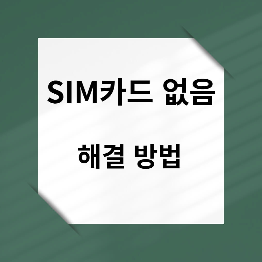 sim없음 해결