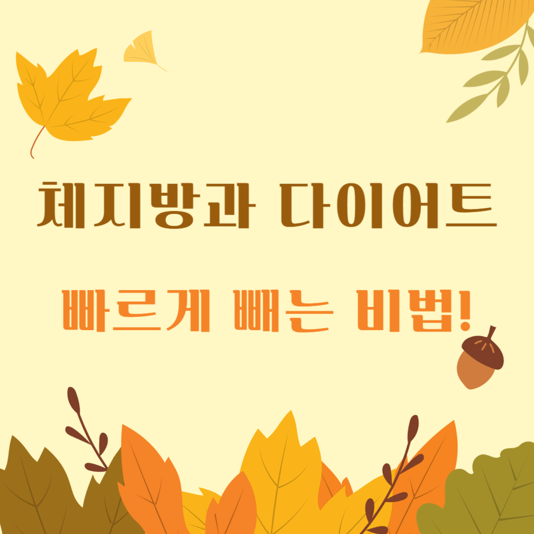체지방-감량
