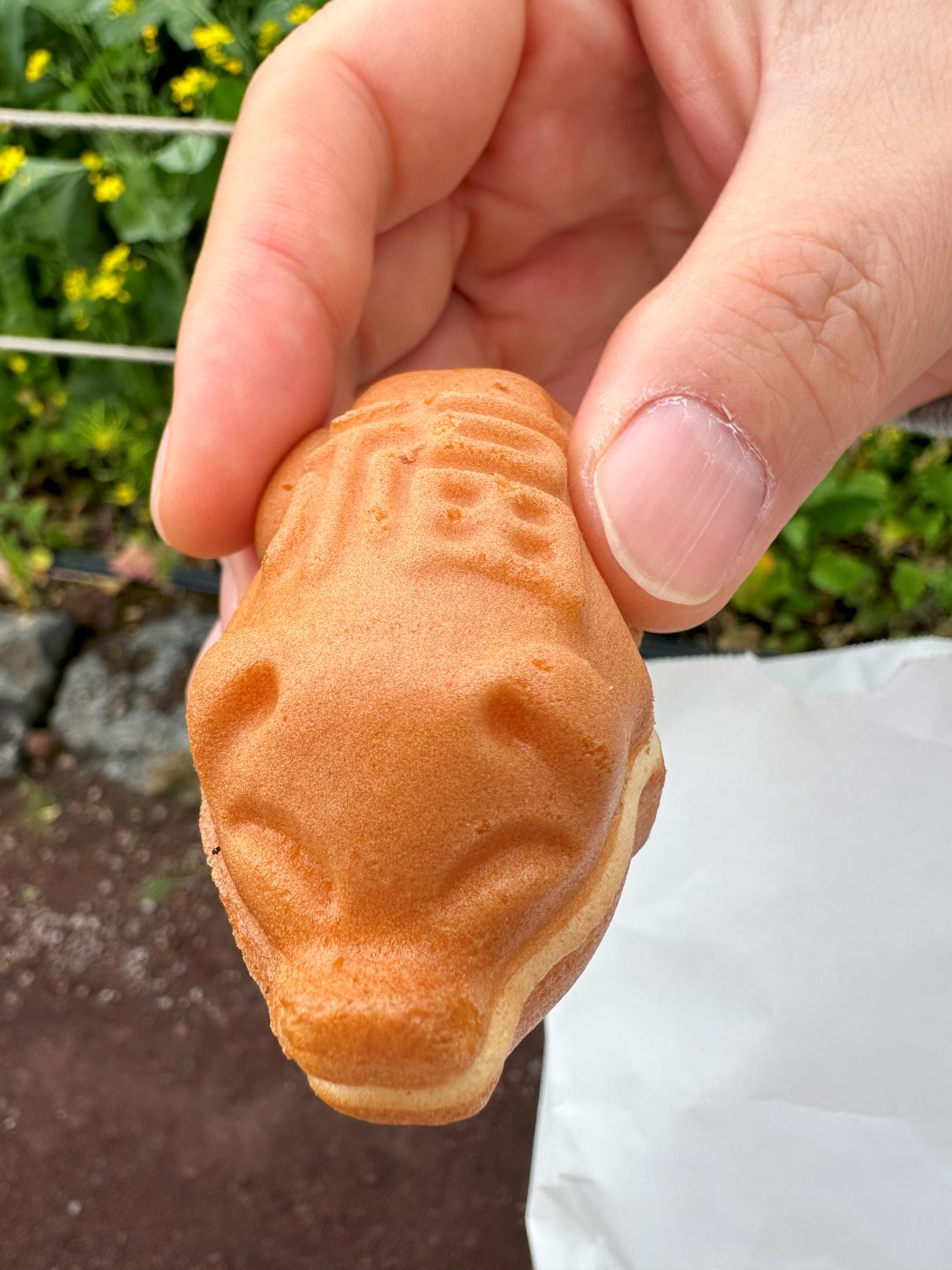 제주 휴애리 자연생활공원 사진4