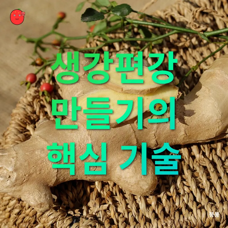 시작할 수 있는 부업_3