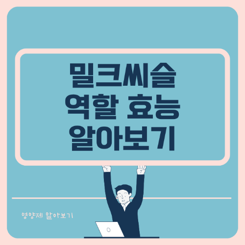 밀크씨슬 역할 효능 부작용 알아보기 썸네일