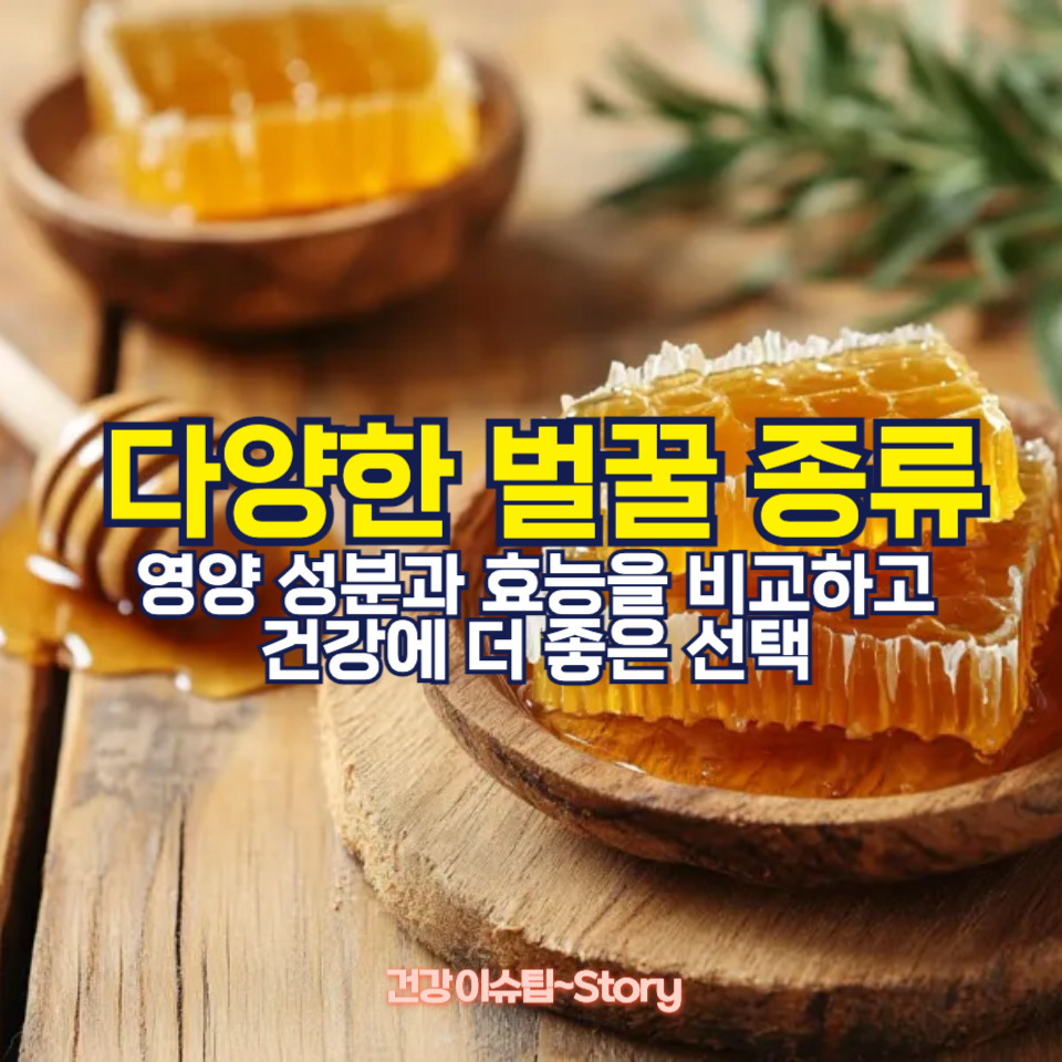 건강에 좋은 벌꿀 종류와 공복 섭취의 진실!