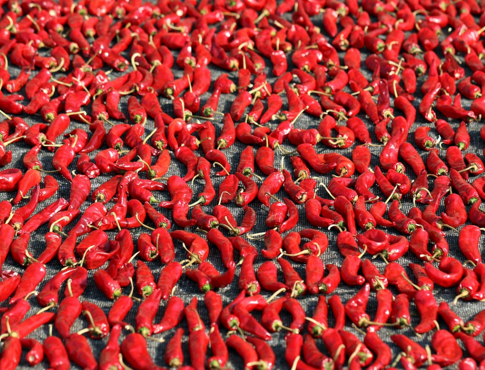 절임배추 20kg과 10kg 몇 포기 구매 바로가기