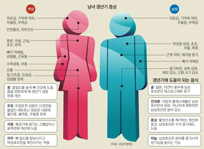 갱년기 남여 증상