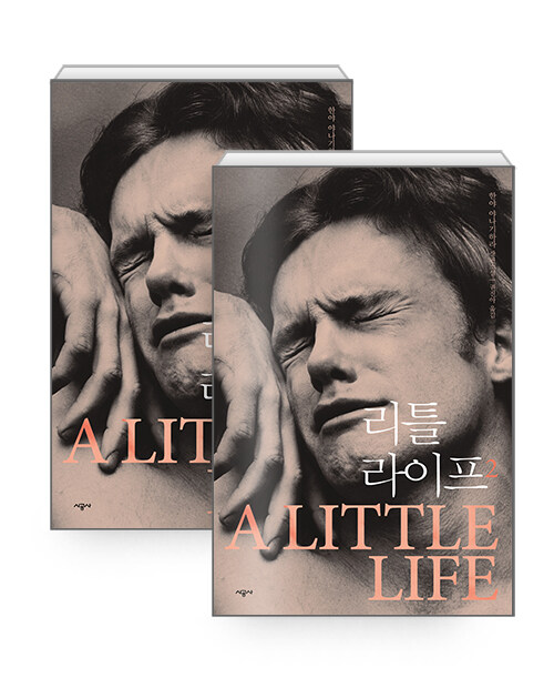 한나 야나기하라의 리틀 라이프1,2