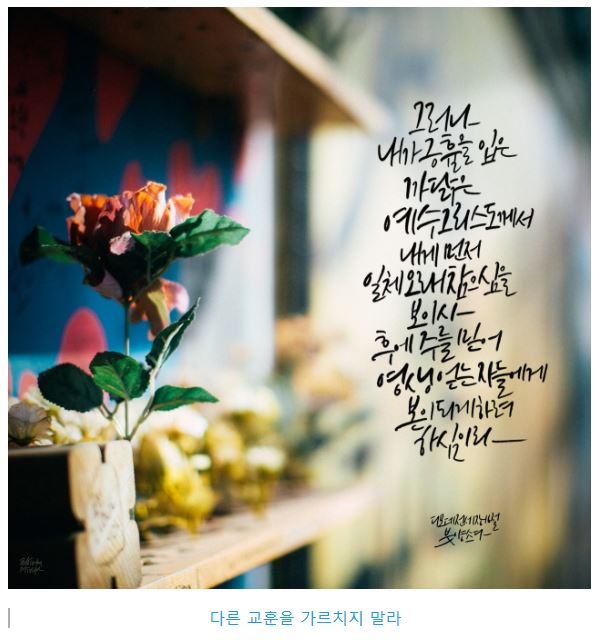 디모데전서 1장